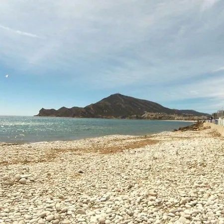 Timonel * Altea